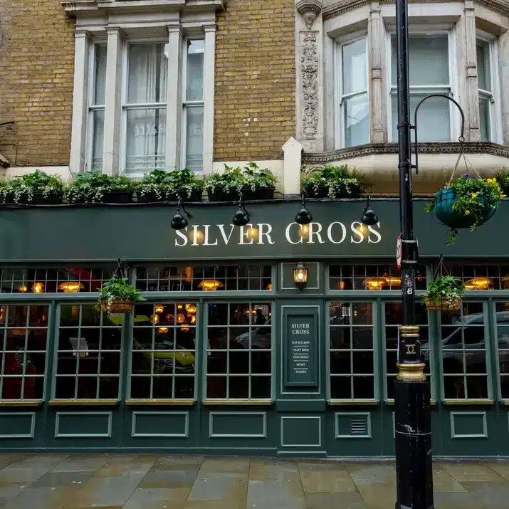 Silver Cross Cover Image